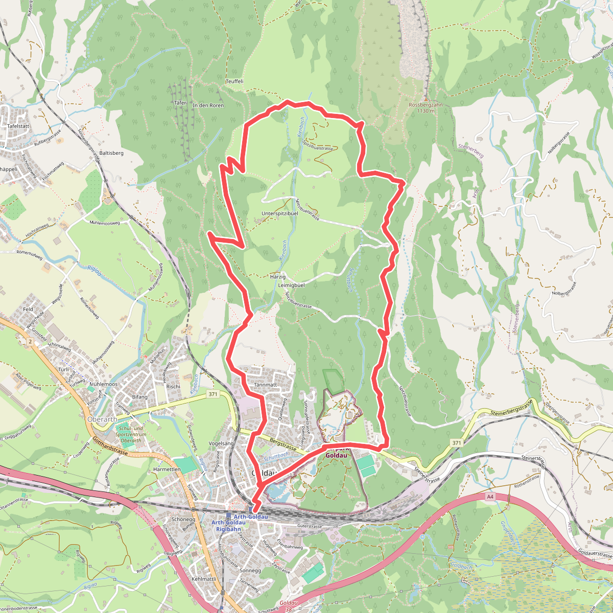 Goldauer Bergsturzspur