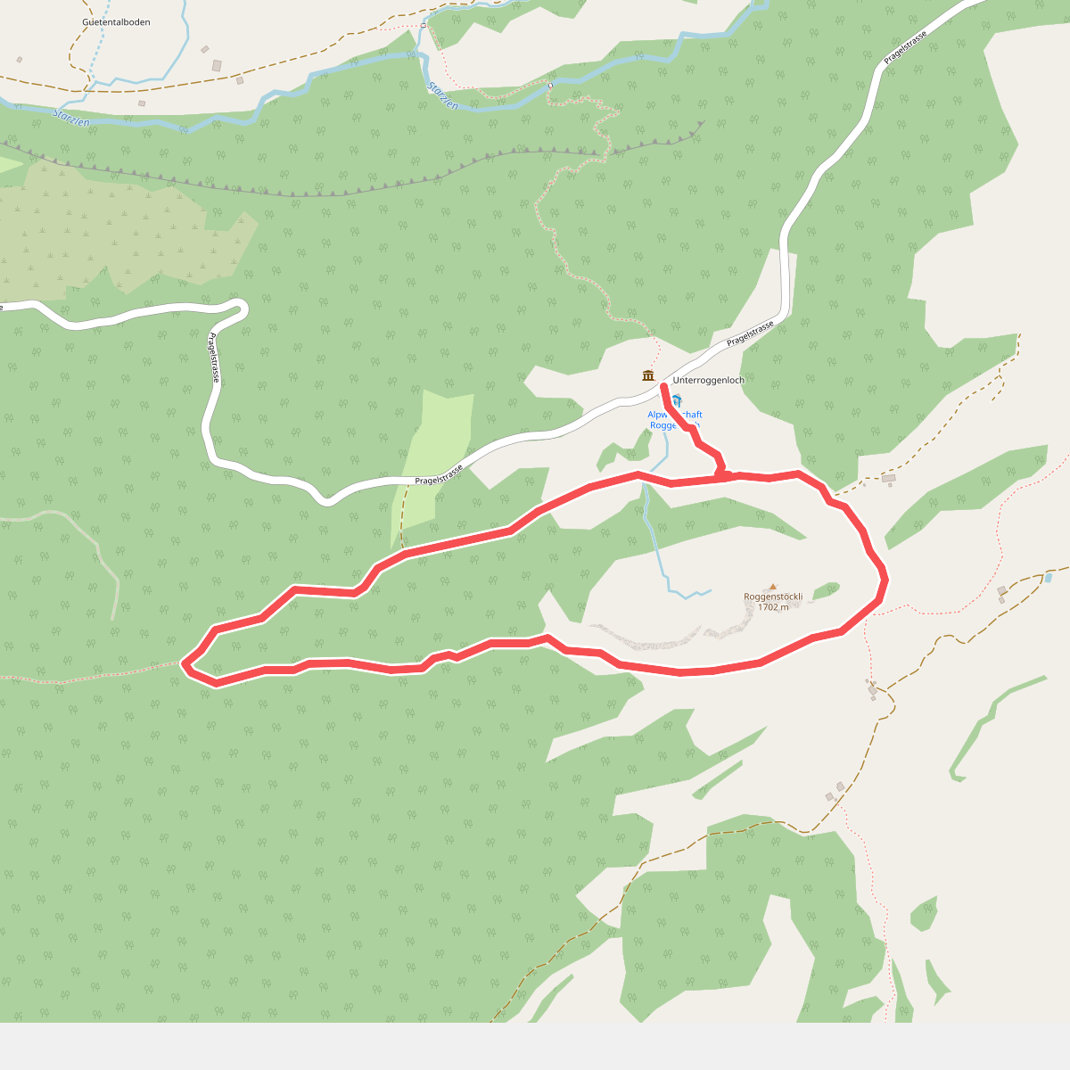 Urwaldspur