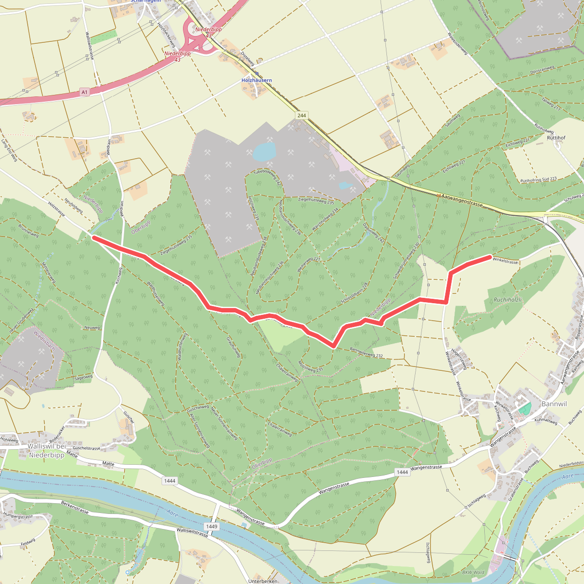 Oberbipper Waldhütte - Moosbaan