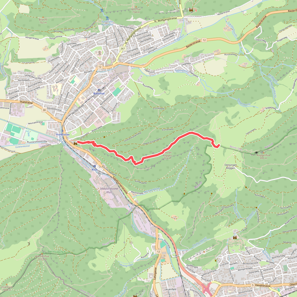 Balsthaler Roggen - Alt FalkensteinBalsthaler Roggen - Alt Falkenstein