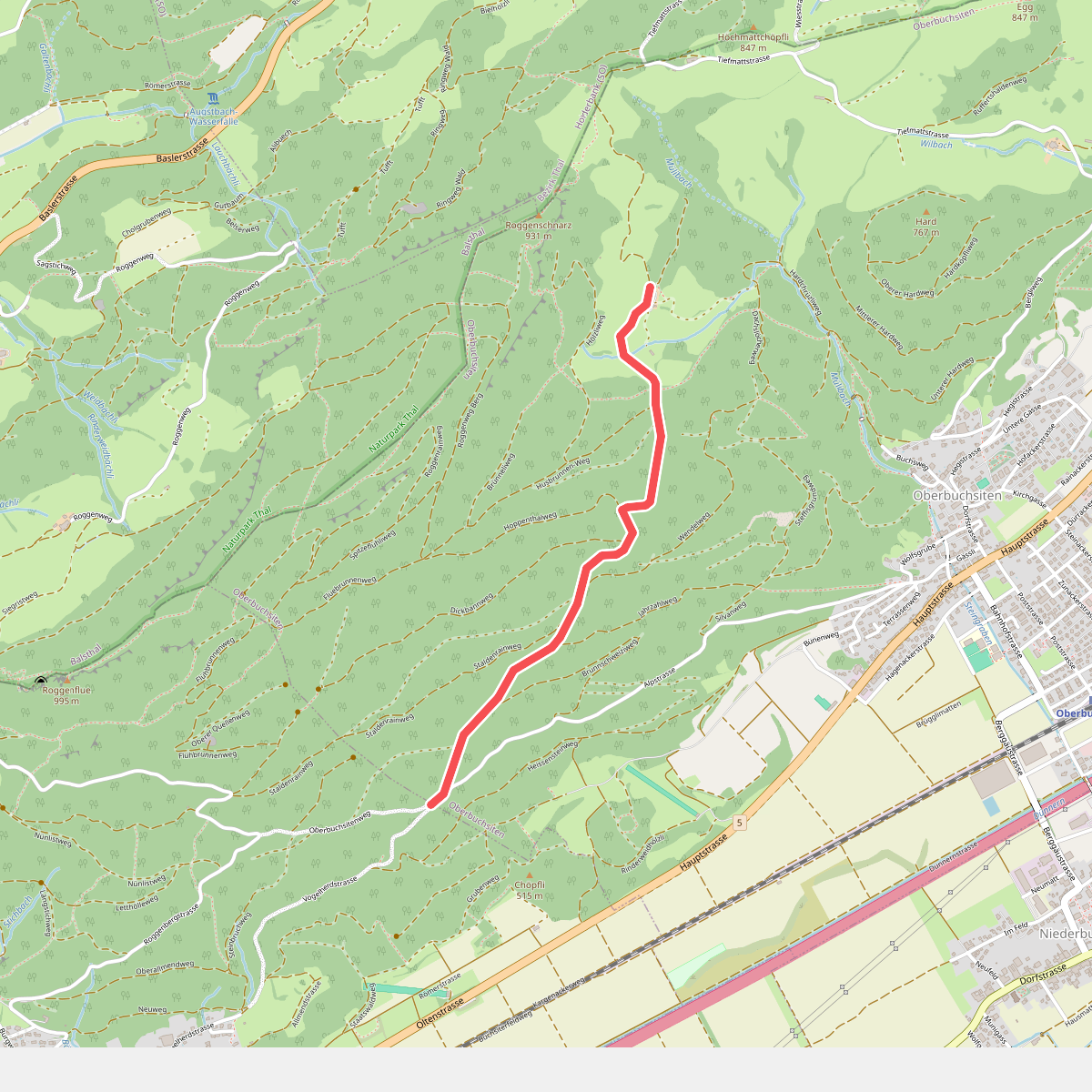 Buchsiter Alp - Buchsiterrank