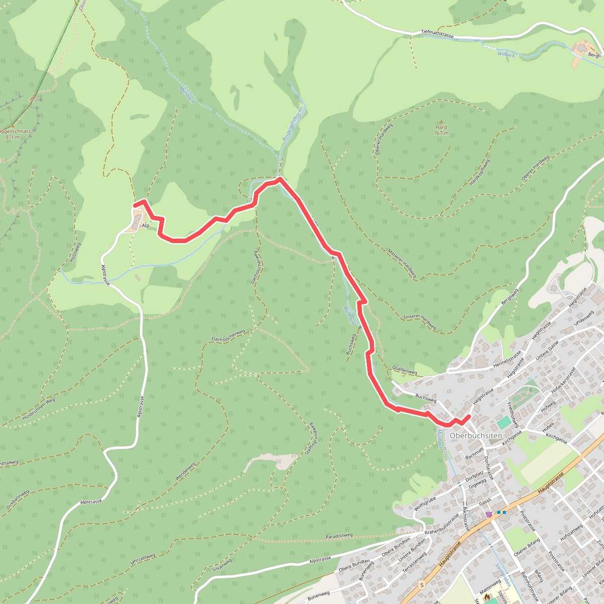 Buchsiter Alp - Dorfplatz Oberbuchsiten