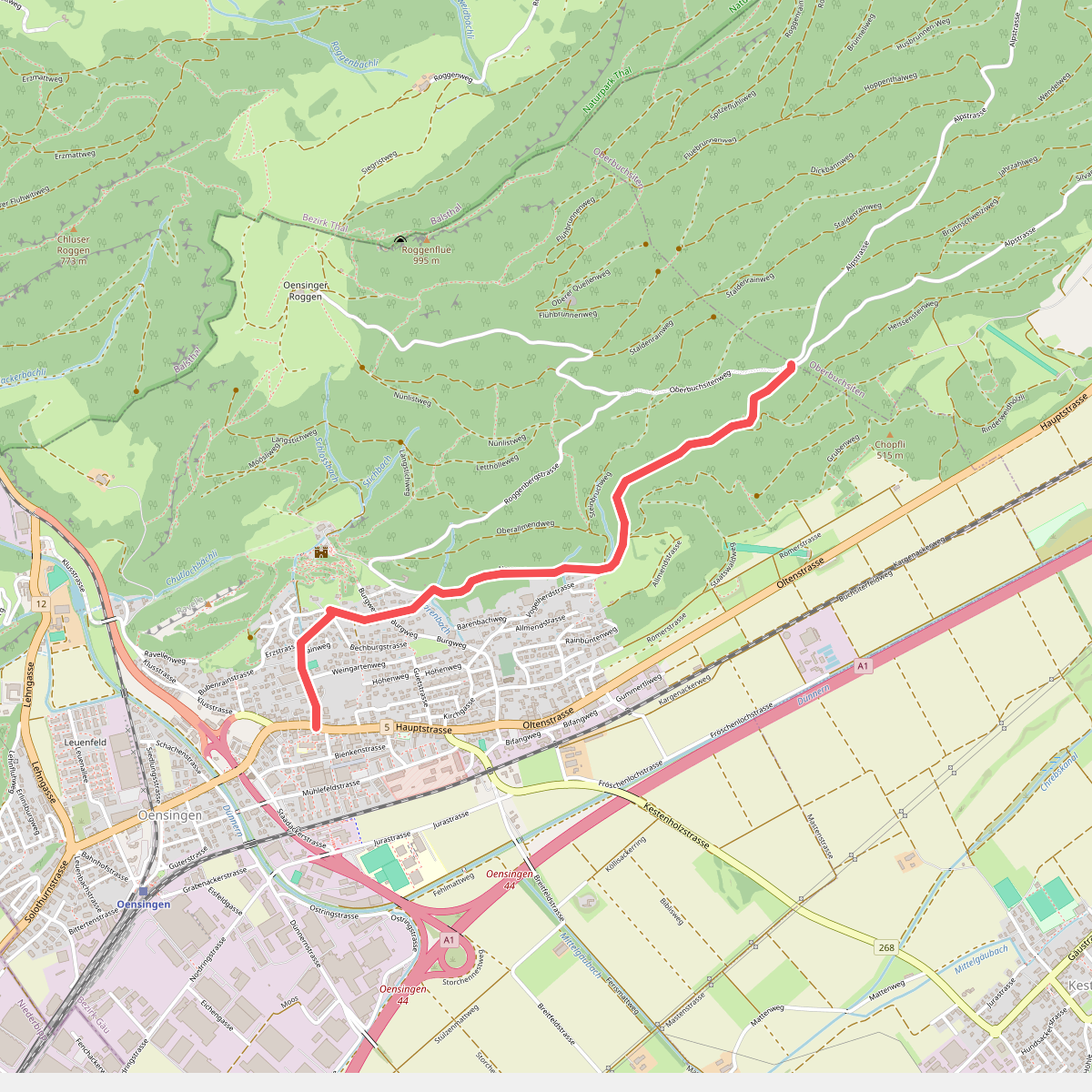 Buchsiterrank - Oensingen