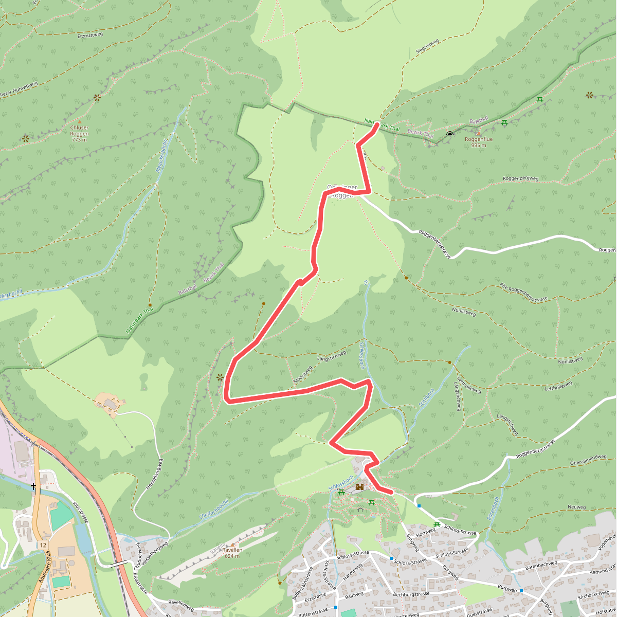 Neu Bechburg - Roggenweid