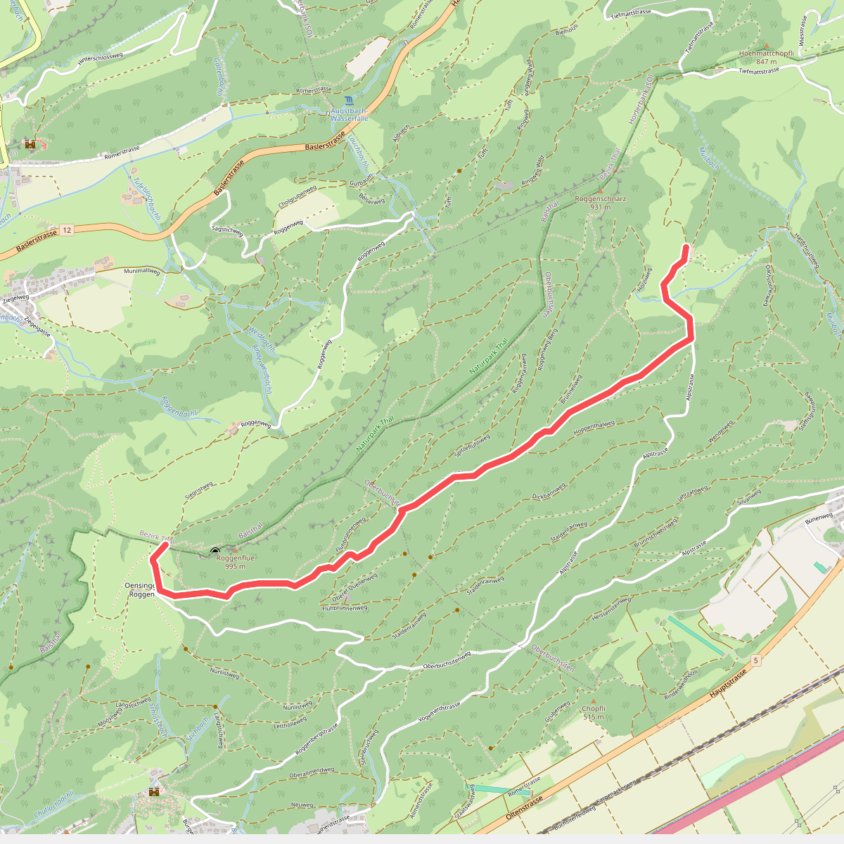 Roggenweid -Buchsiter Alp