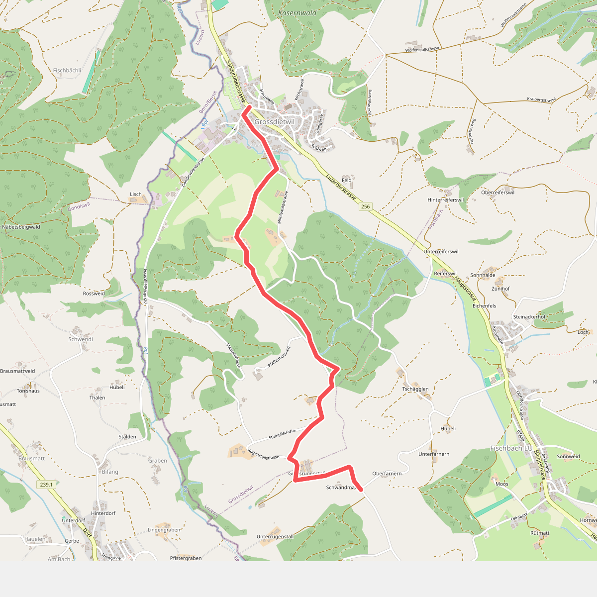 Grossdietwil - Schwandmatt