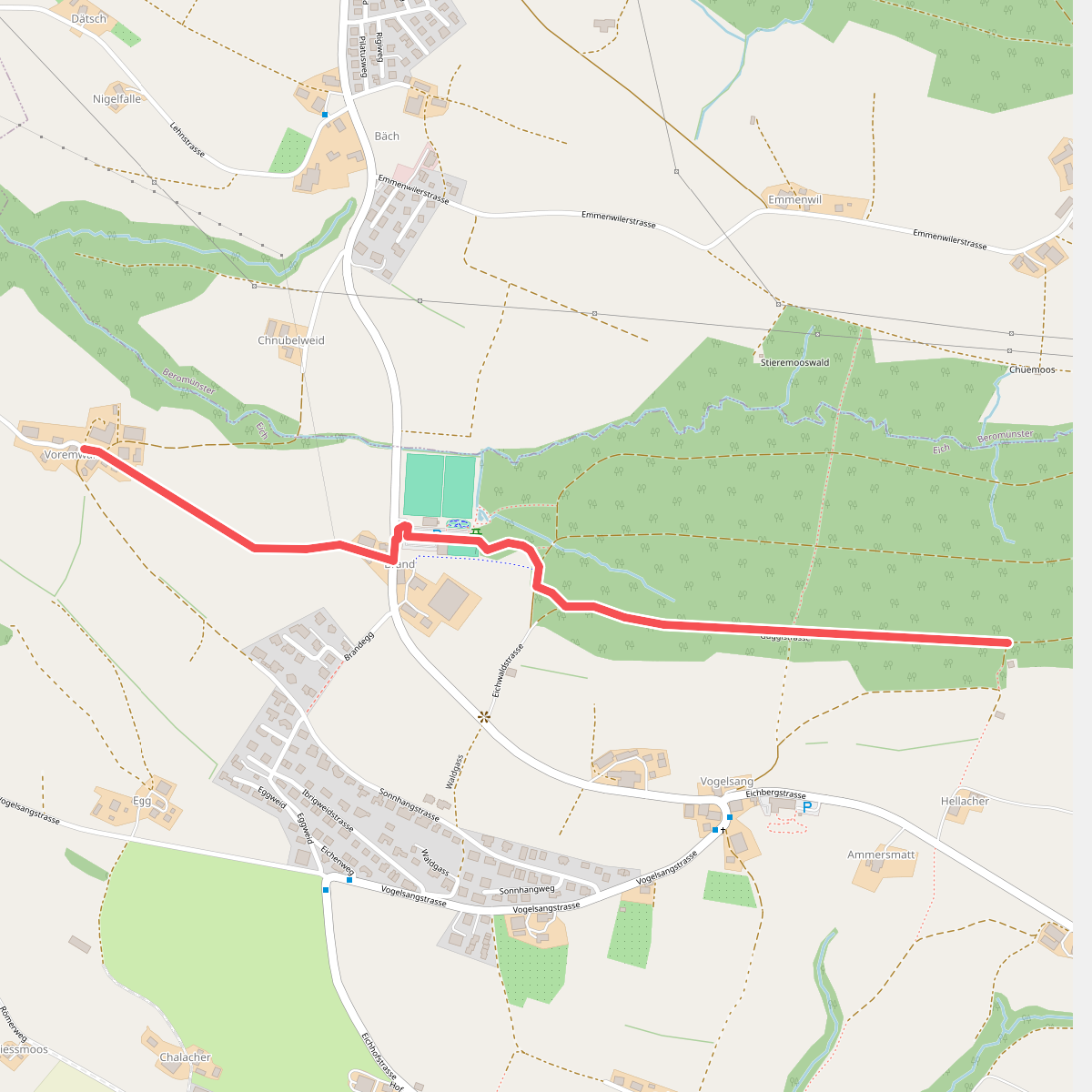 Voremwald - Eichwald