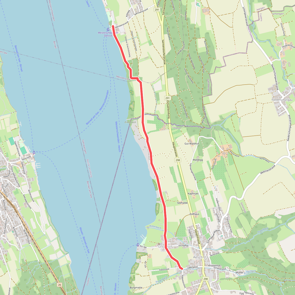 Seerose - Aesch