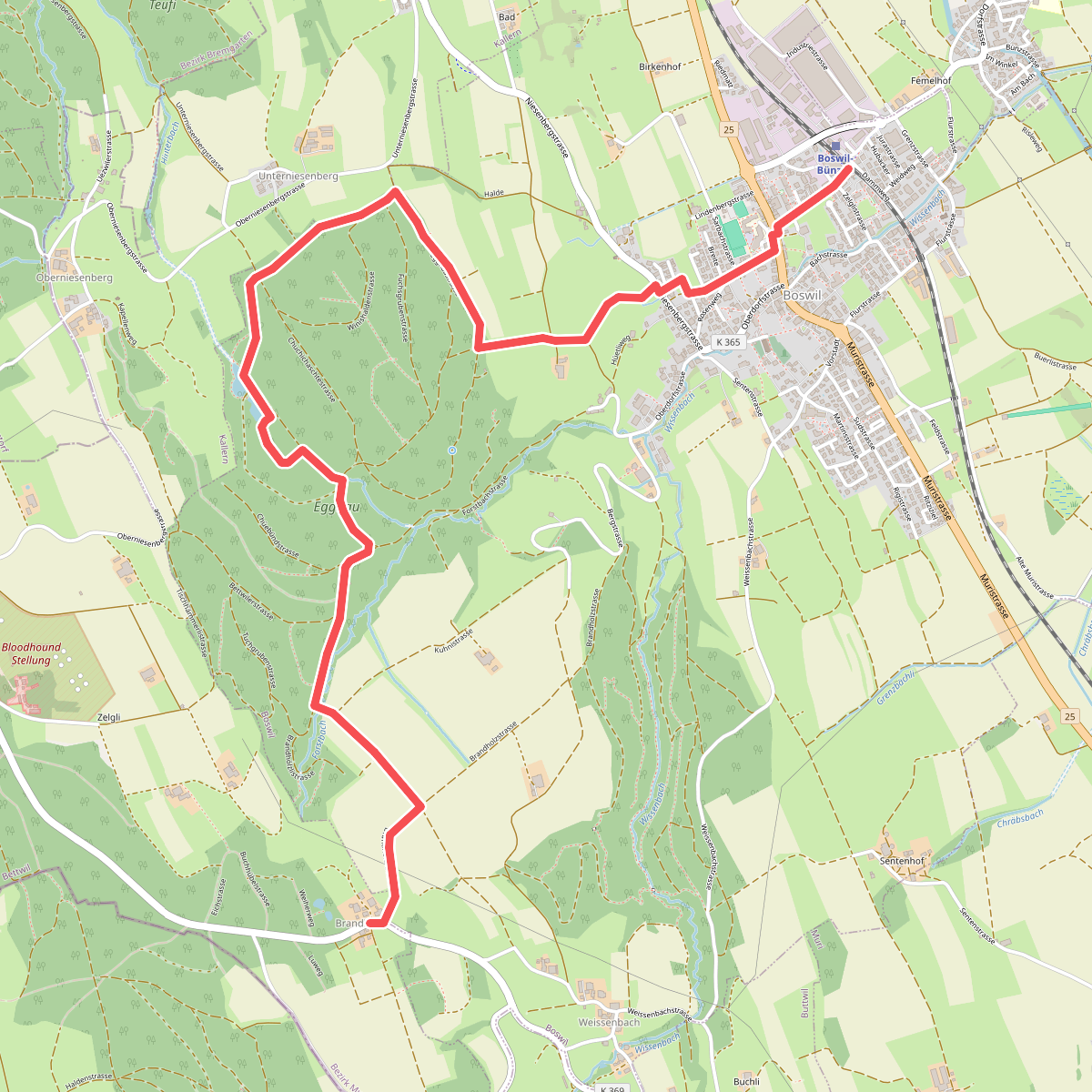 Boswil - Brandholz