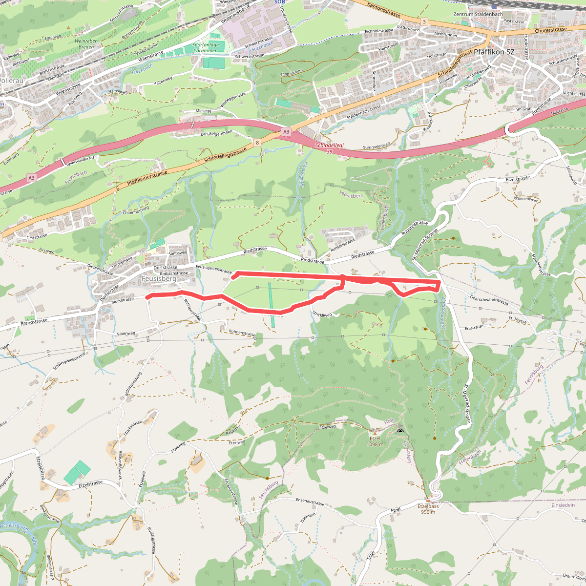 Feusisberg (Moos) - Schnäggenburg
