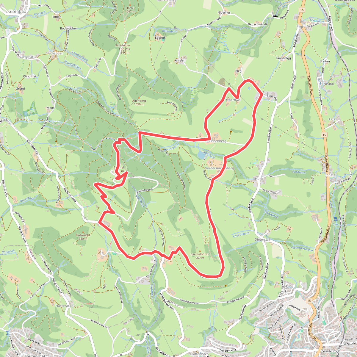 Bachtel-Kulm