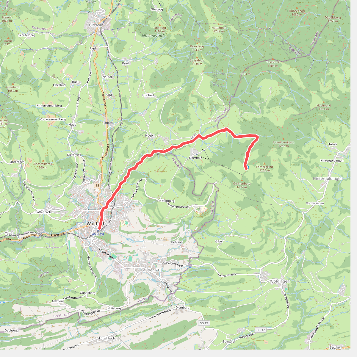 Wald - Farneralp