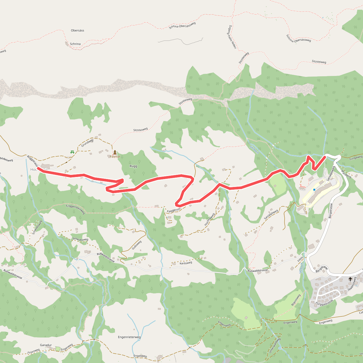 Hochrugg - Bergwald