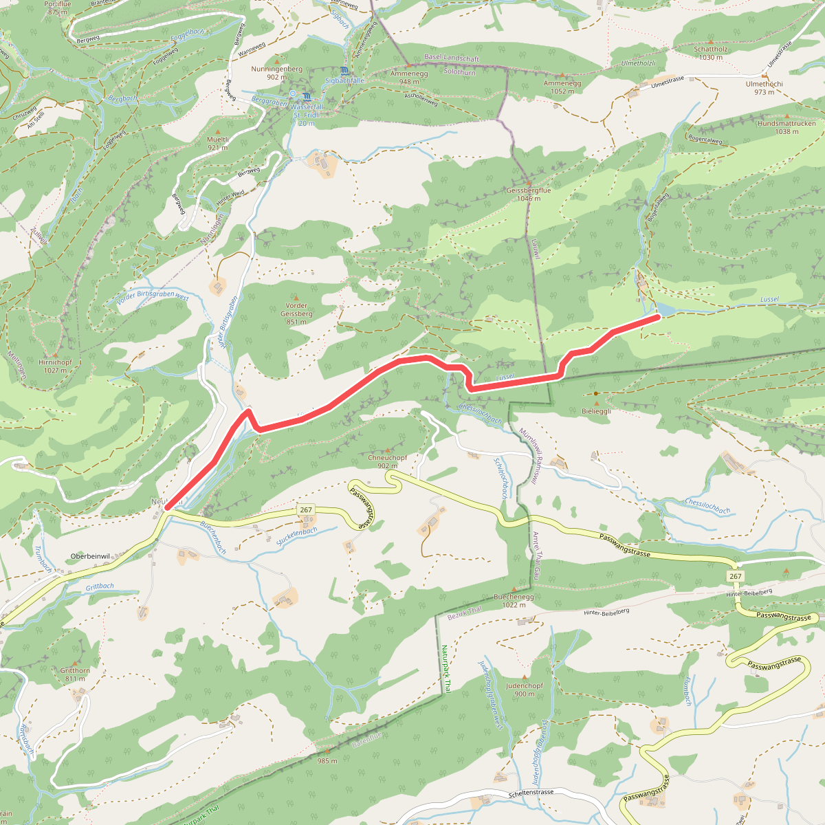 Bogental - Neuhüsli