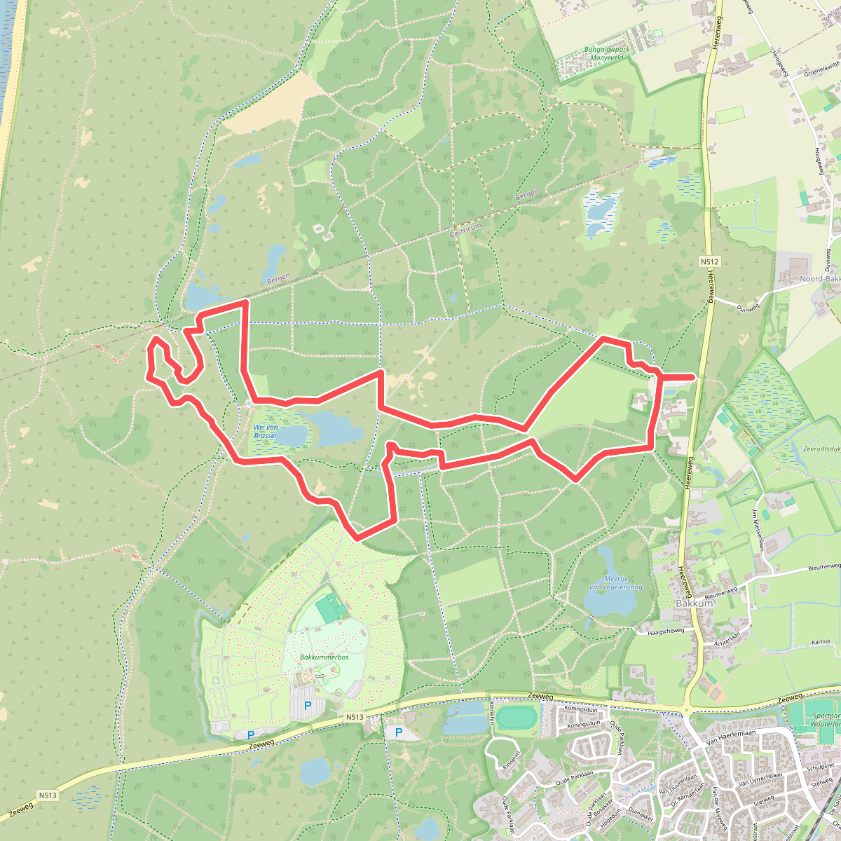 Weid van Brasser (duinroute van PWN, rode driehoek)