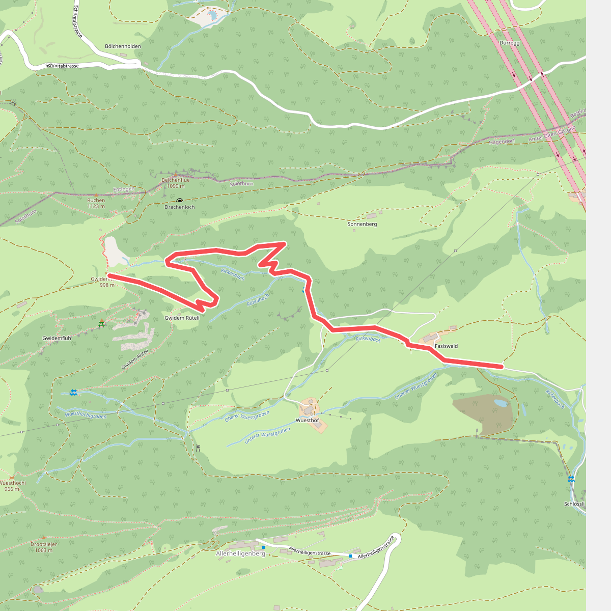 Gwidemhöchi - Fasiswald
