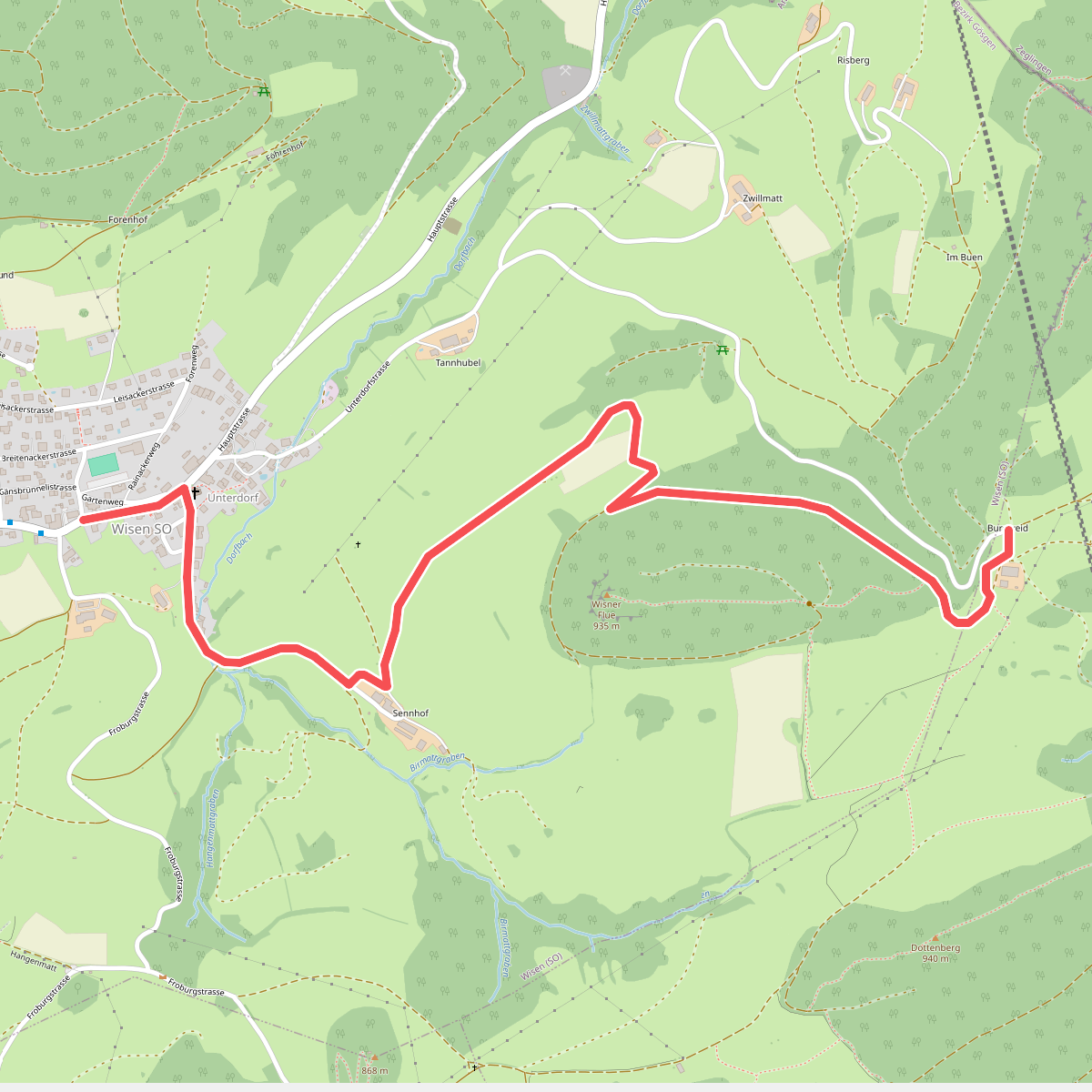 Burgweid - Wisen