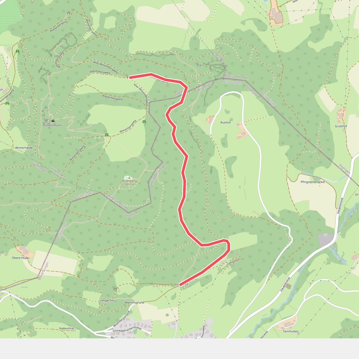 Forenhof - Hasmatt