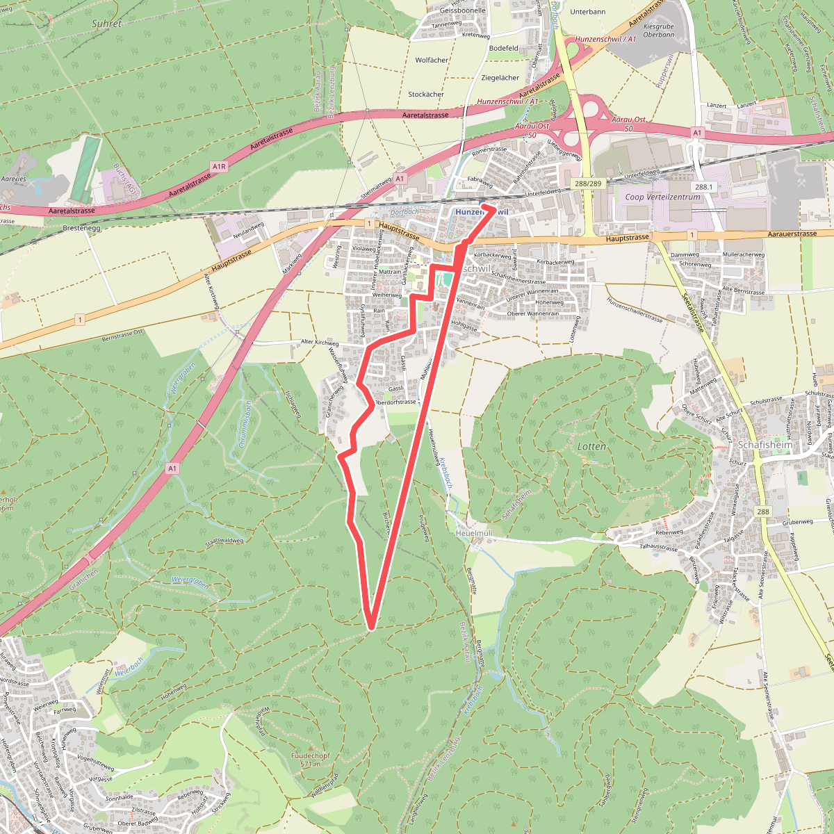Hunzenschwil - Tannhölzli