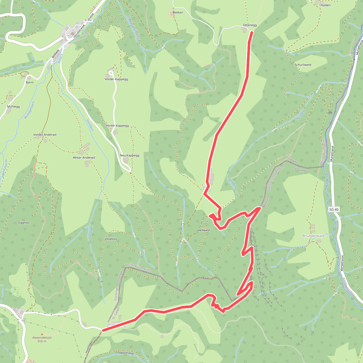 Ottenegg - Holenstein