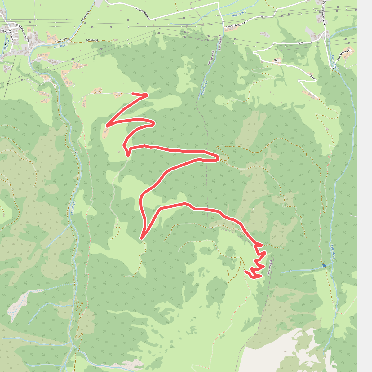 Grünalm (Forstweg)
