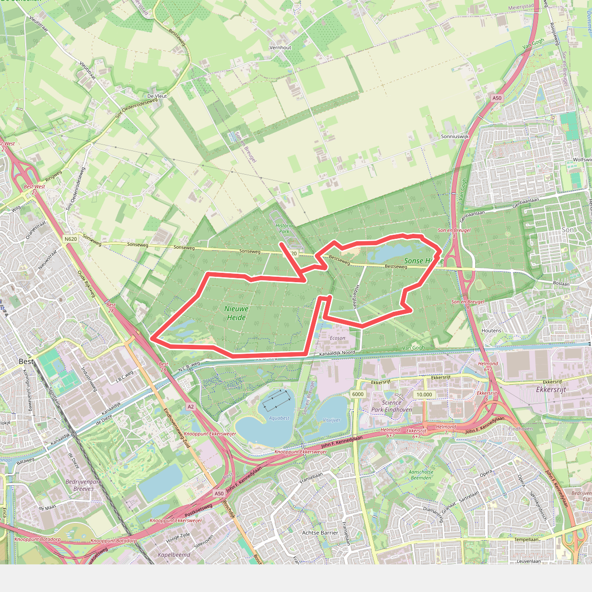 Rondje bos