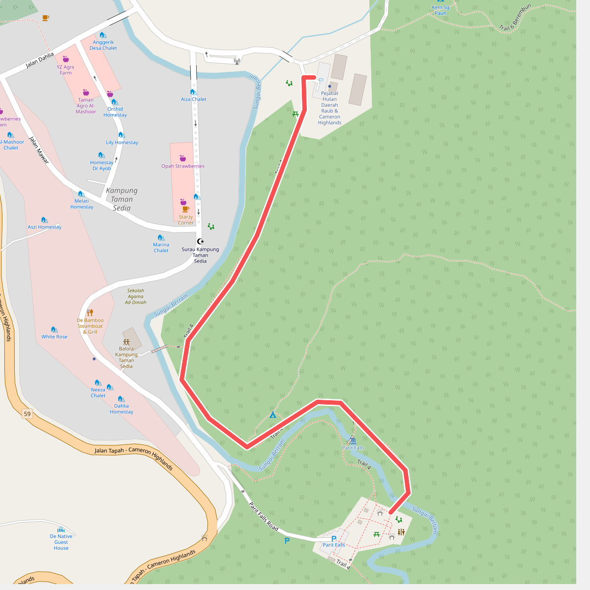 Cameron Highlands - Parit Falls via Trail 4