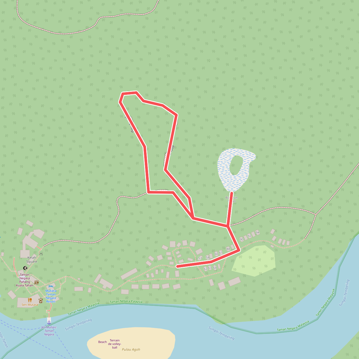Tahan Hide + Swamp loop