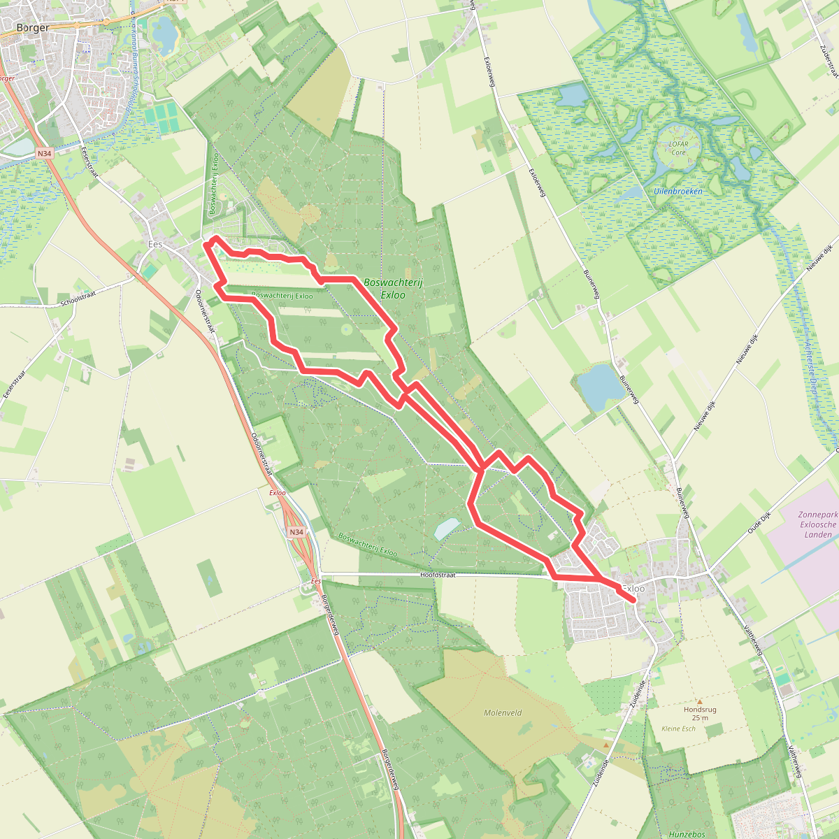 DW4D Dag 2 - 10km - 2026