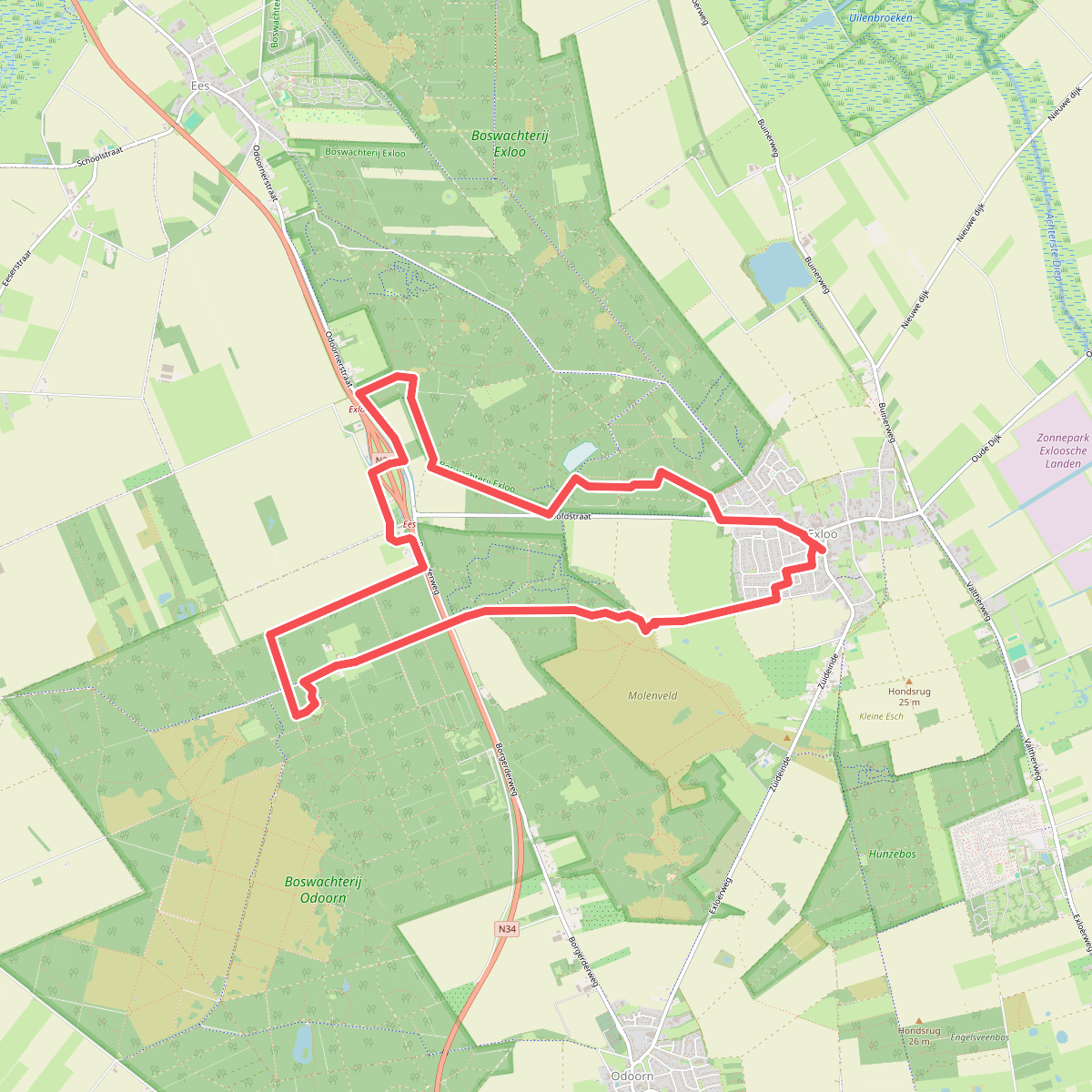 DW4D Dag 4 - 10km - 2026