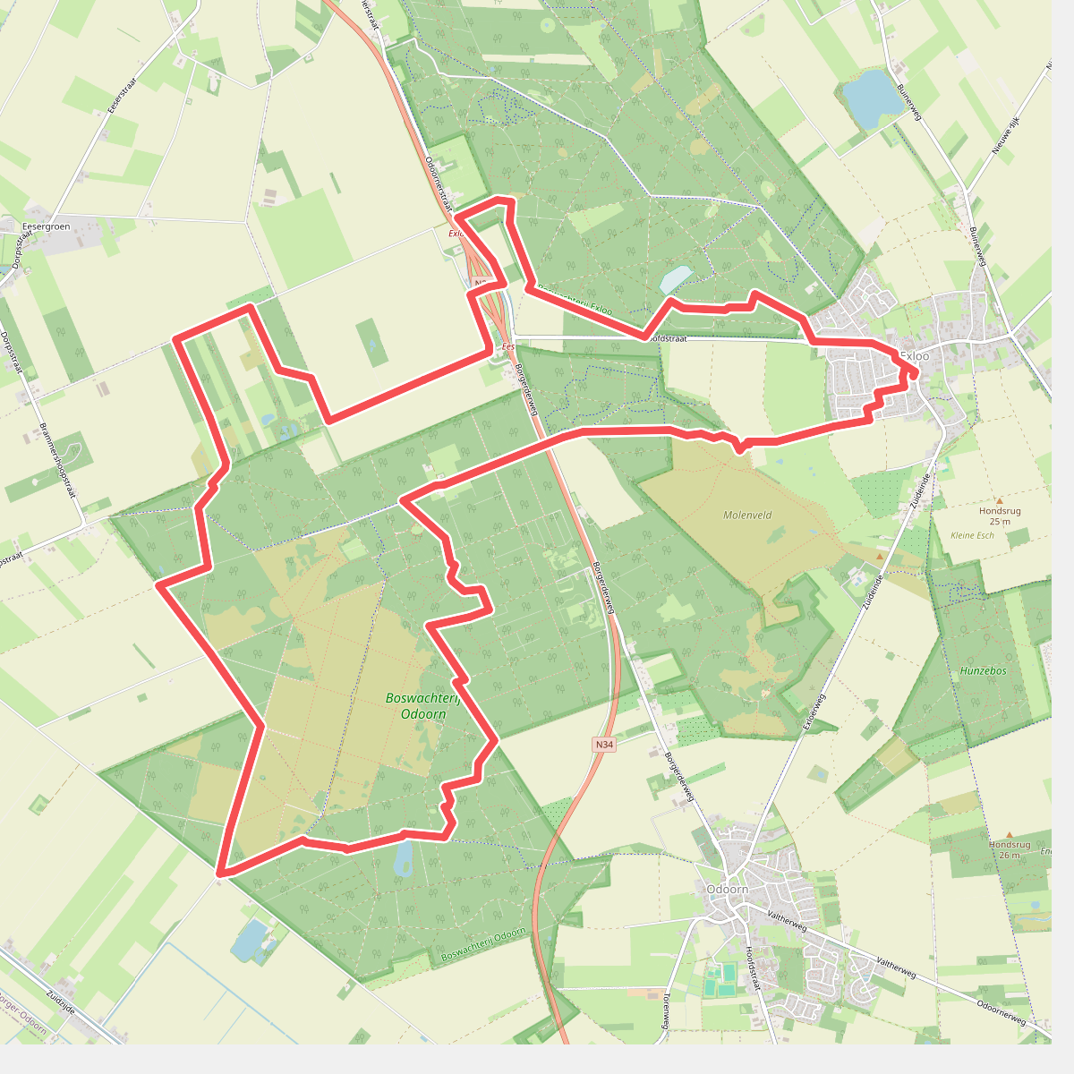 DW4D Dag 4 - 20km - 2026