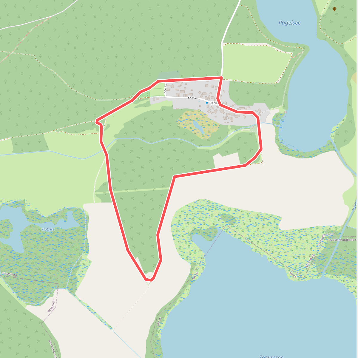Grüne Rohrdommel Krienke