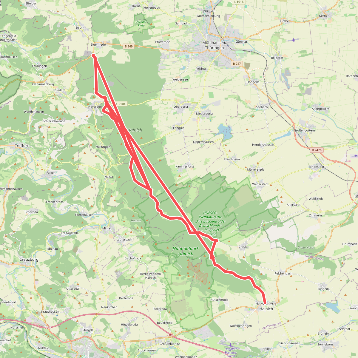 Hainich Rennstieg