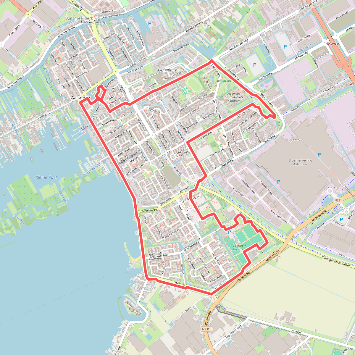 Groene Lint (rood)