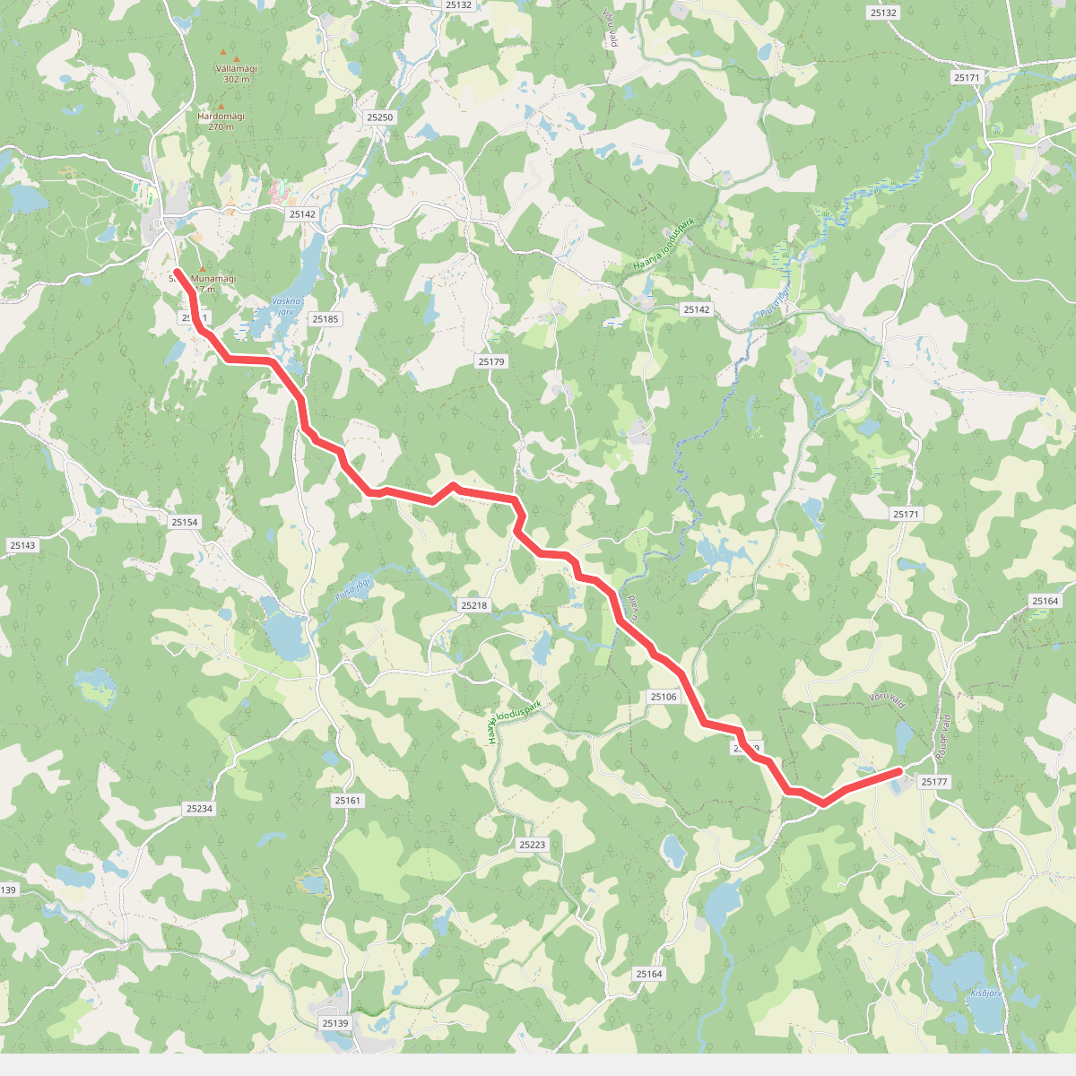 E11 section 17: Haanja (Suur Munamägi)‒Tsiistre