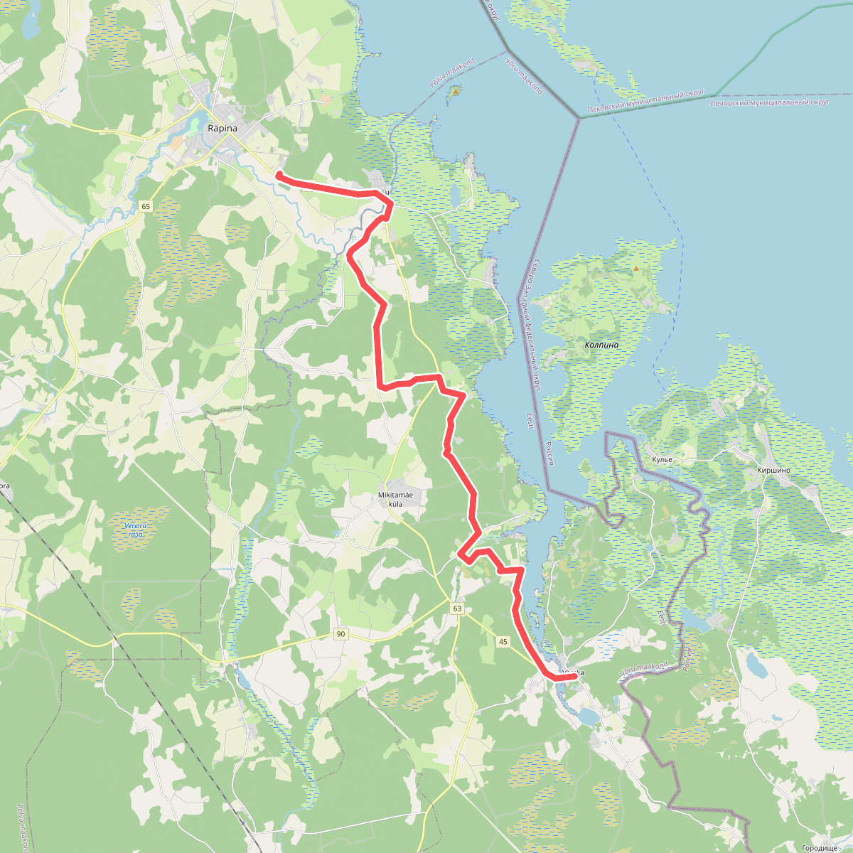 E11 section 21: Verska (Värska) – Ristipalo