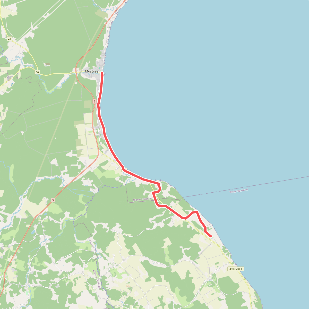 E11 section 28: Rannamõisa‒Mustvee