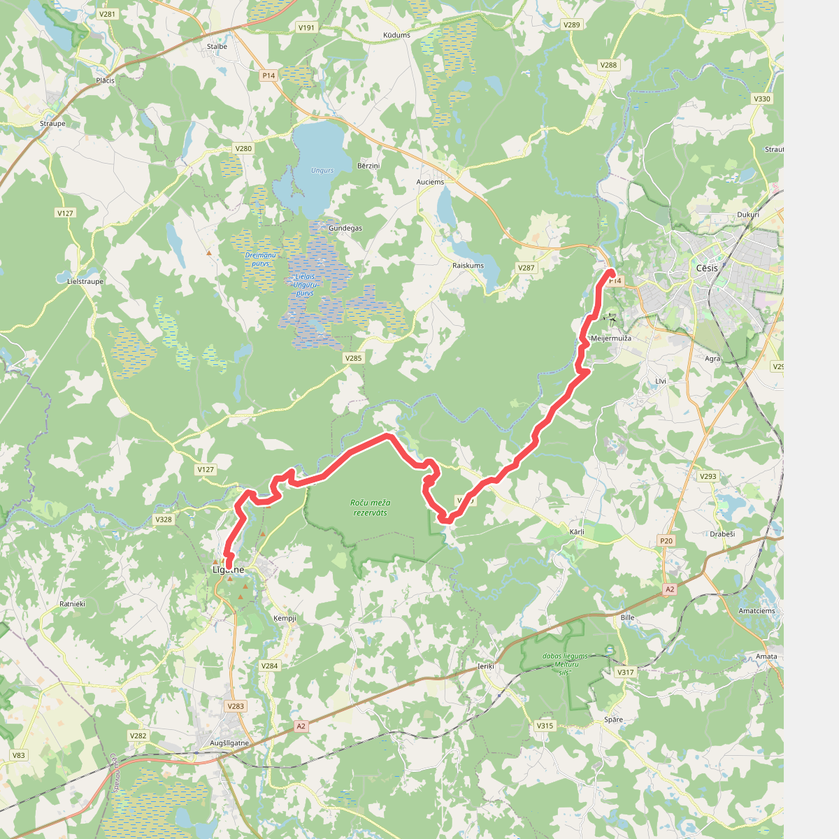 E11 section 06: Līgatne - Cēsis