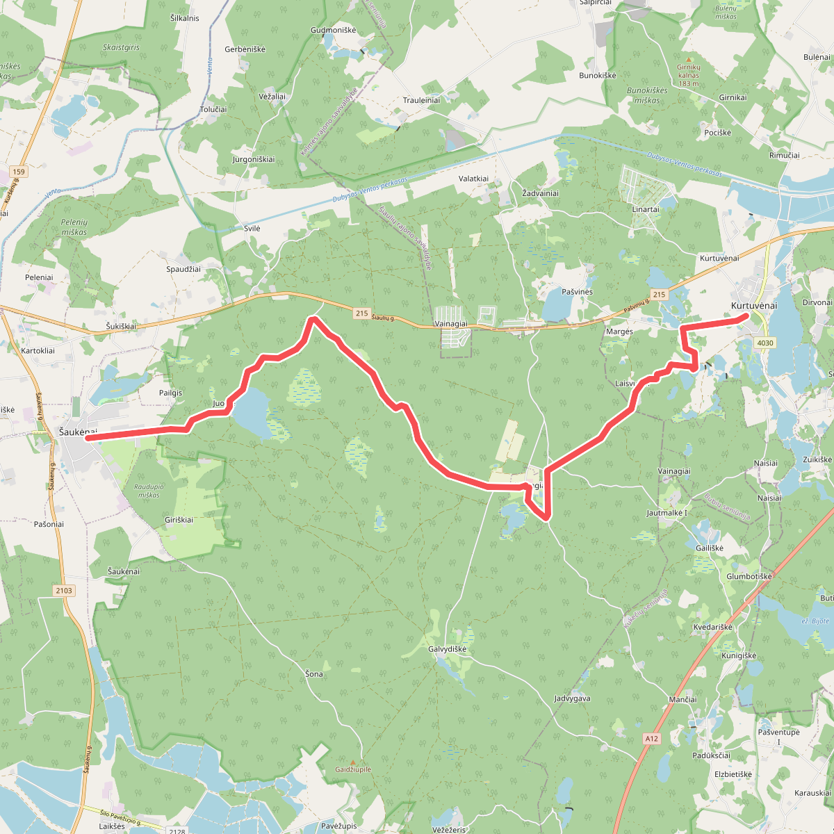 E11 section 74: Kurtuvėnai – Šaukėnai