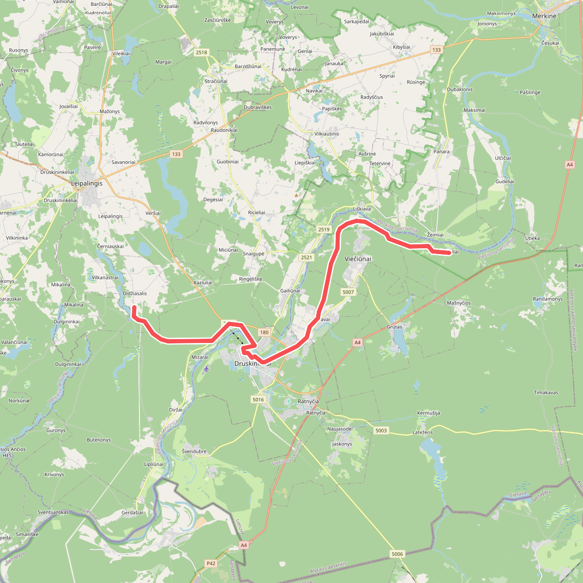 E11 section 54: Didžiasalis – Druskininkai – Žiogeliai
