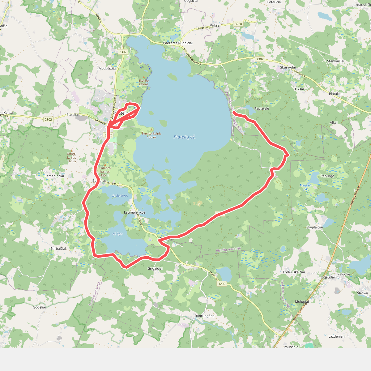 E11 section 83: Paplatelė – Plateliai