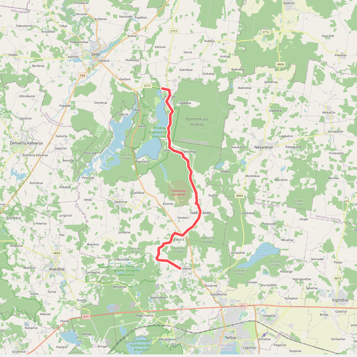 E11 section 80: Buožėnai – Plinkšės