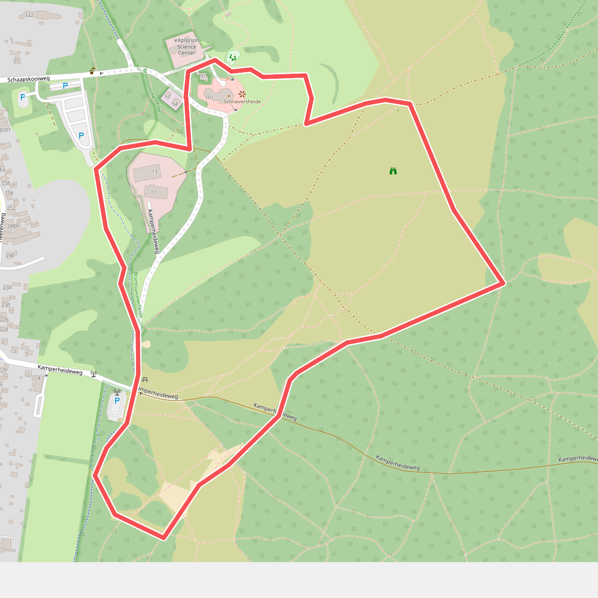 Brunssummerheide Geel NM7 Brunssum