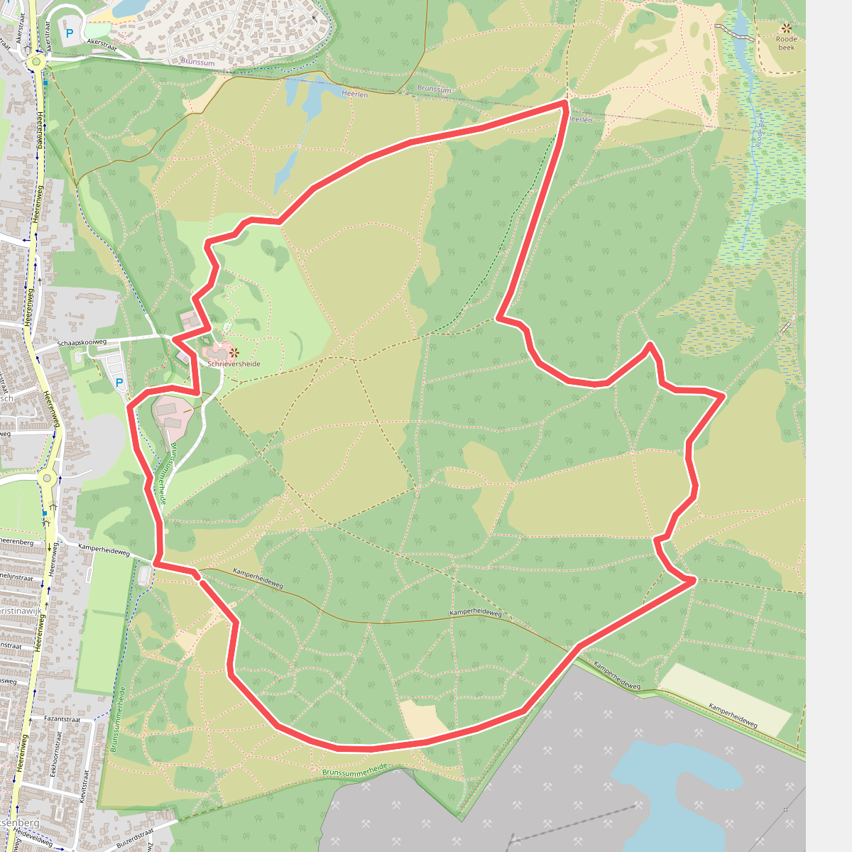 Brunssummerheide Licht Groen NM6 Brunssum