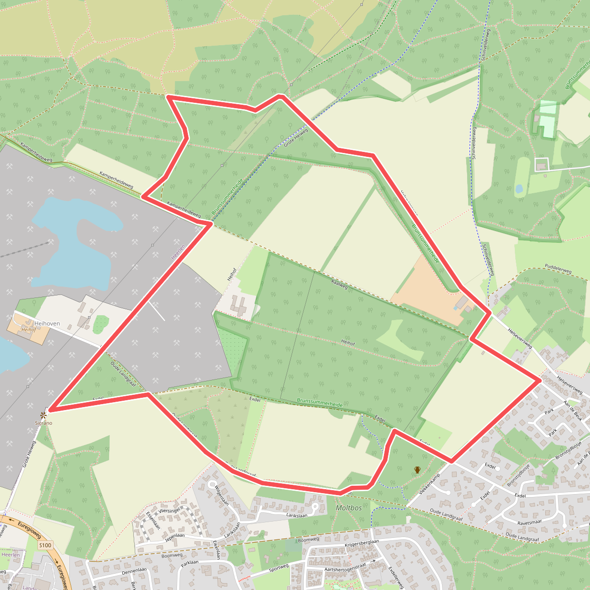 Brunssummerheide Paars NM5 Brunssum
