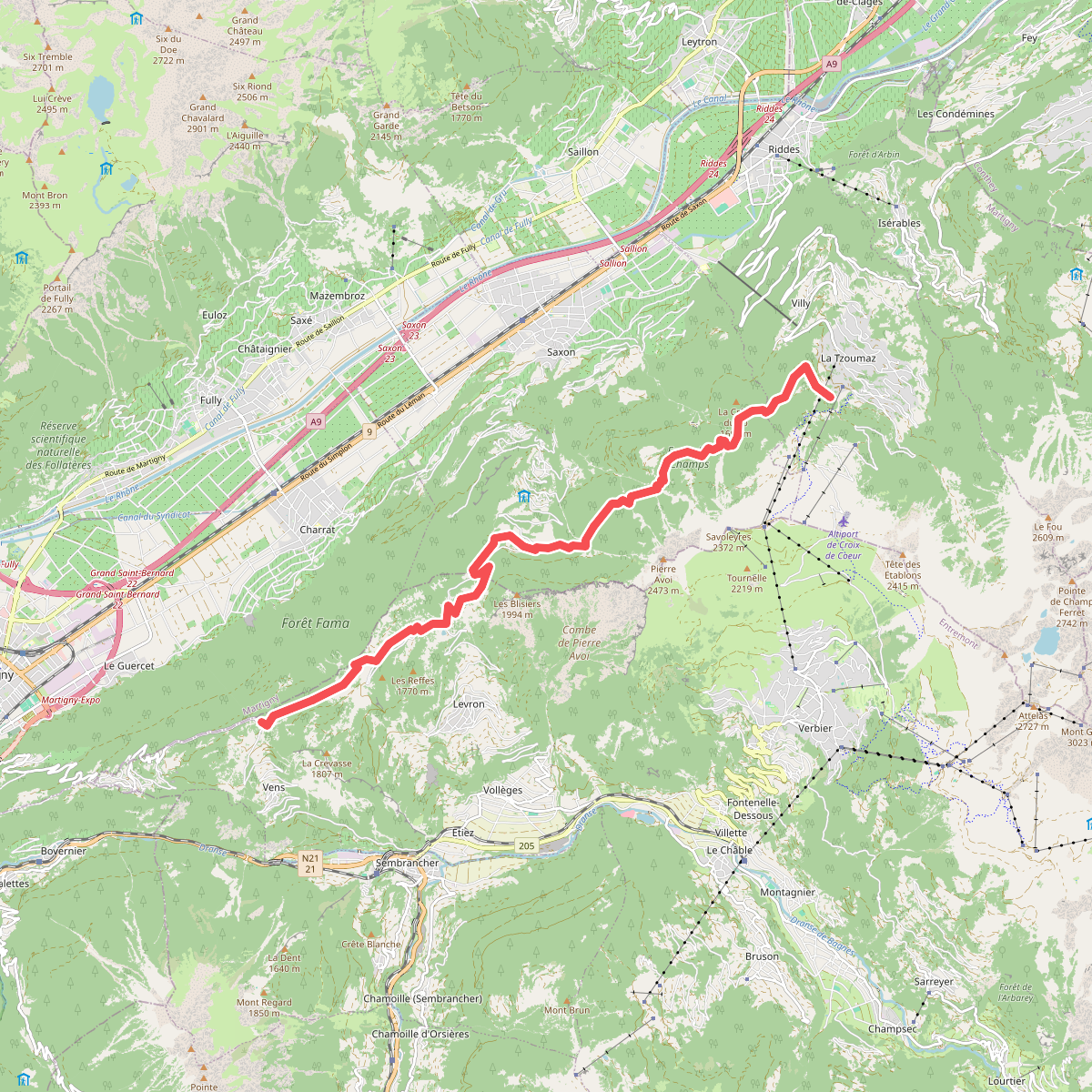 01-Chemin des Bisses