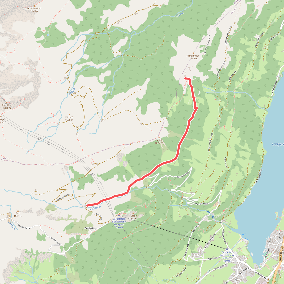 Dundelalp - Feldmoos