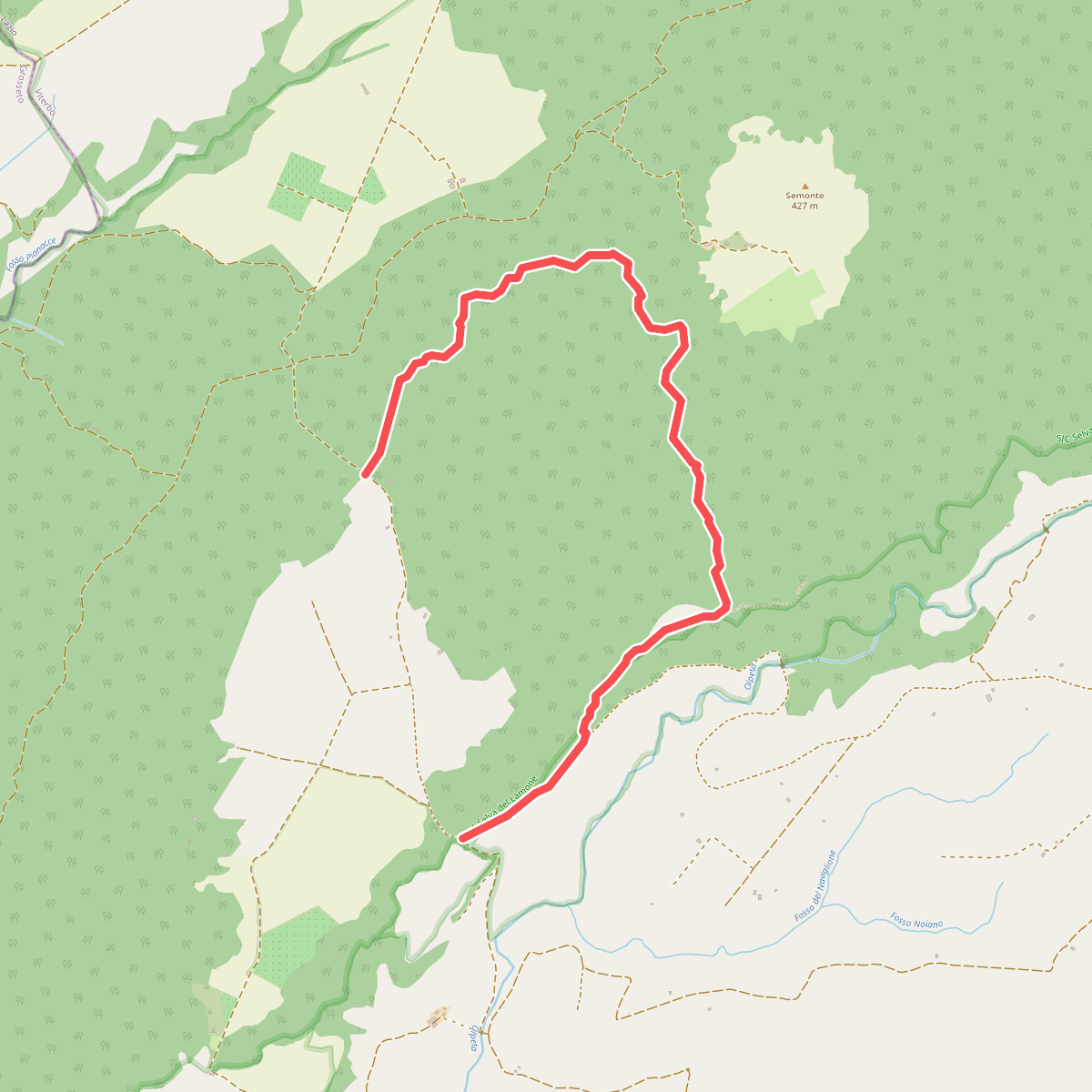 Selva del Lamone