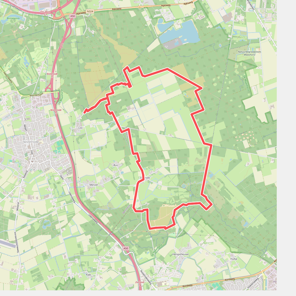 Wandelen langs de wilde grazers van de Maashorst