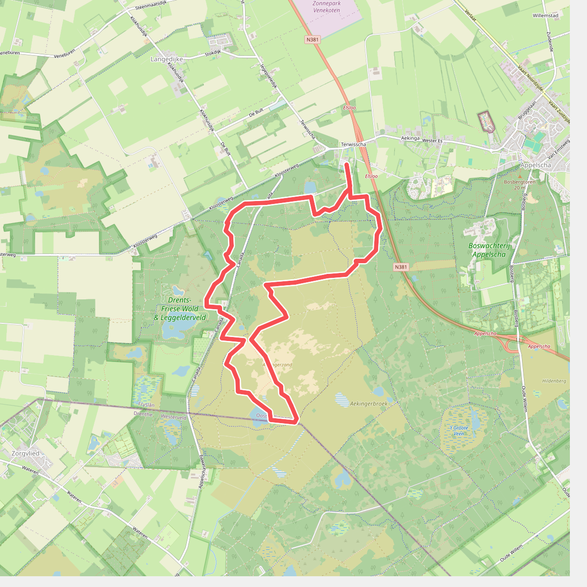 Door de Kale Duinen van het Drents-Friese Wold